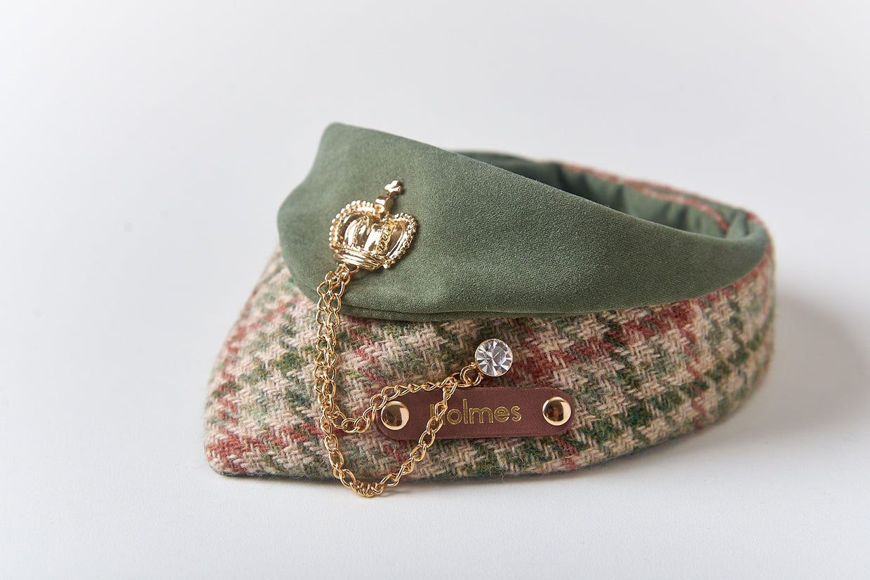 Personalized Pet Bib – Custom Name Bandana with Fasteners