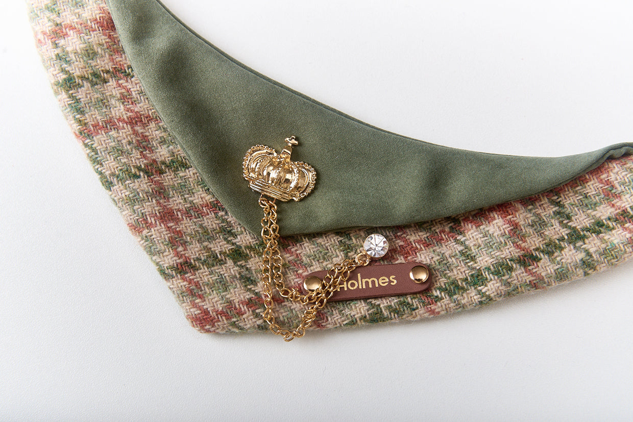 Personalized Pet Bib – Custom Name Bandana with Fasteners