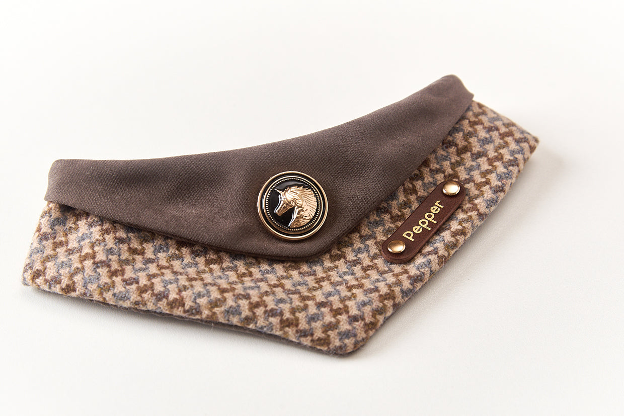 Personalized Pet Bib – Custom Name Bandana with Fasteners