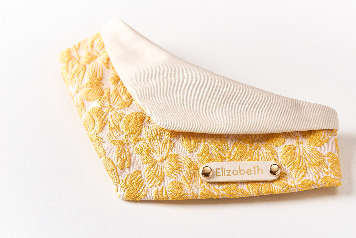 Personalized Pet Bib – Custom Name Bandana with Fasteners