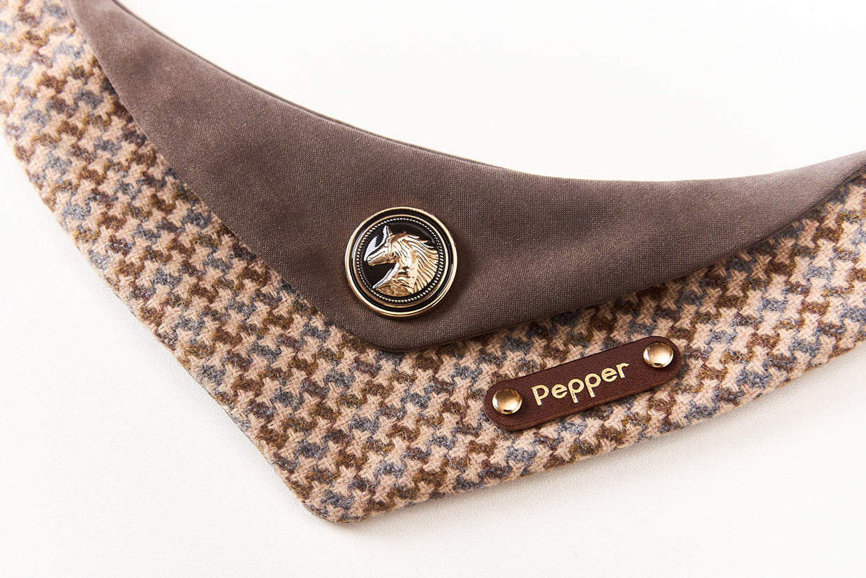 Personalized Pet Bib – Custom Name Bandana with Fasteners