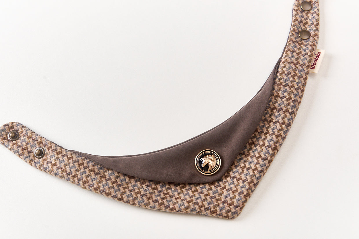 Personalized Pet Bib – Custom Name Bandana with Fasteners