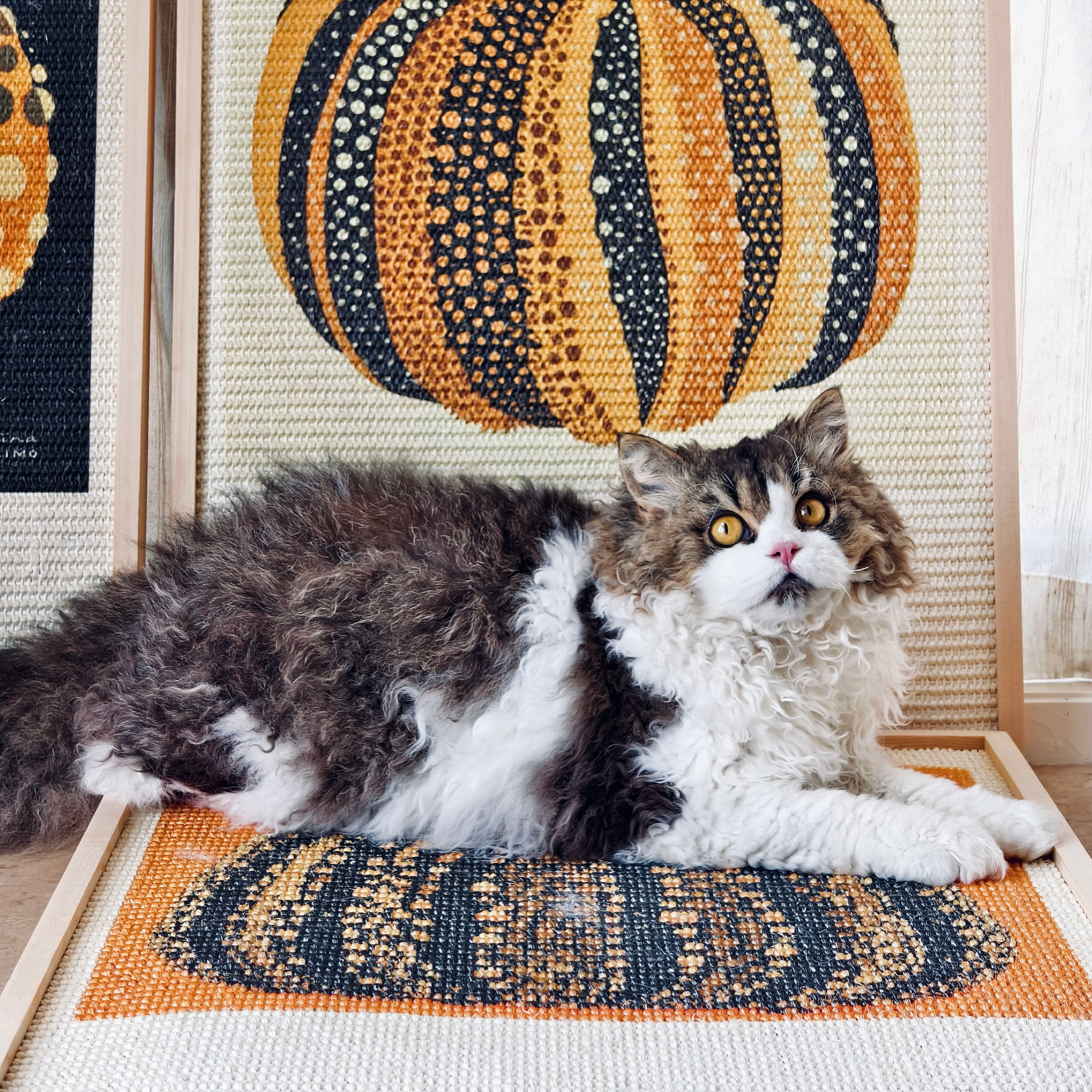 Pumpkin Series Cat Scratcher - Natural Sisal and Solid Wood