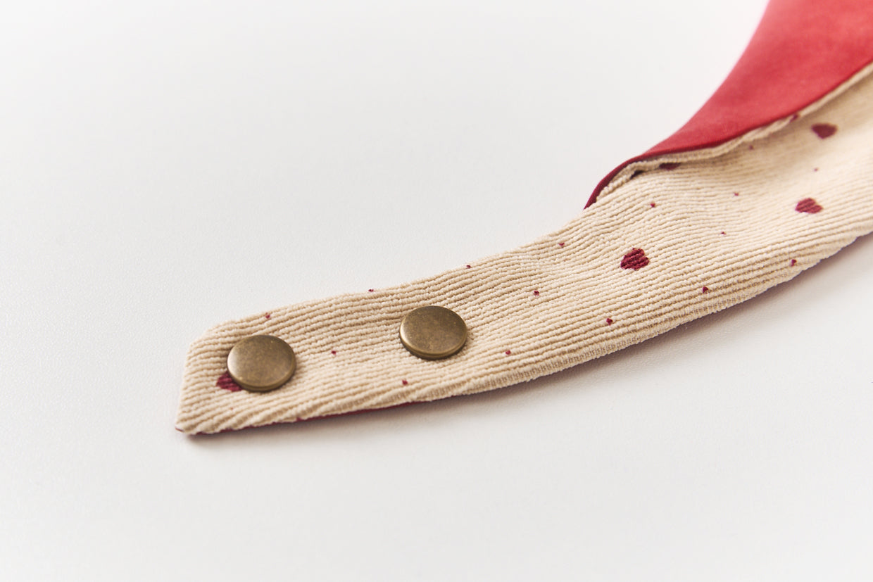 Personalized Pet Bib – Custom Name Bandana with Fasteners