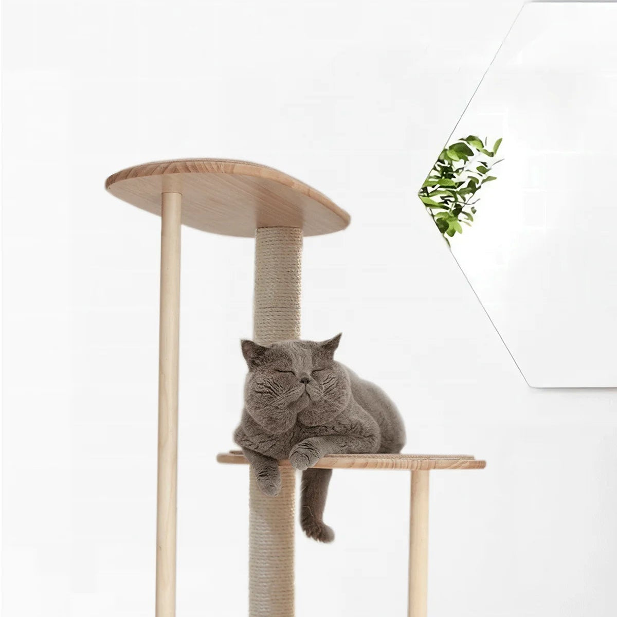 Coconut Tree Cat Climbing Tower | Eco-Friendly Sisal & Solid Wood Cat Tree | Indoor Pet Furniture