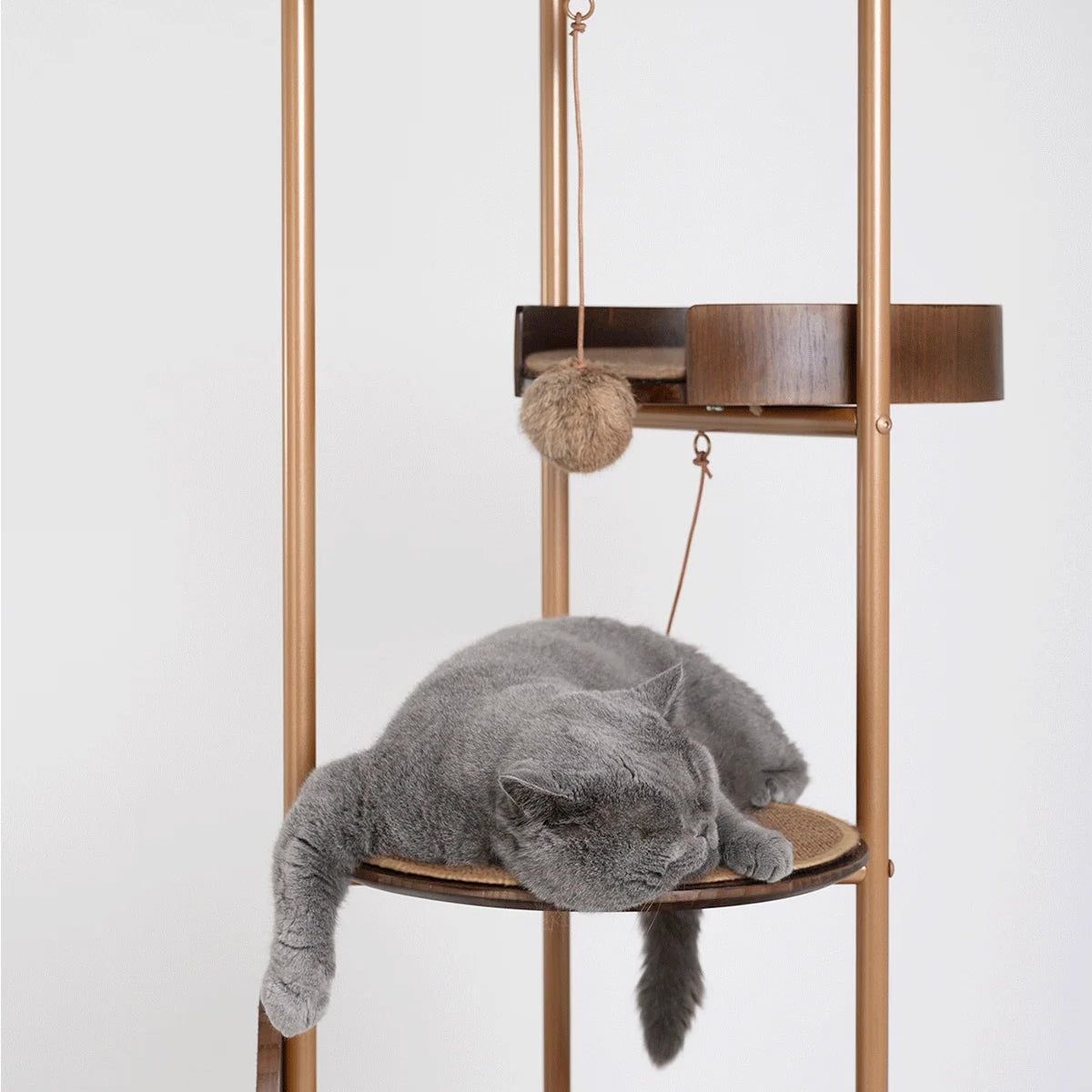 Coconut Tree Cat Climbing Tower | Eco-Friendly Sisal & Solid Wood Cat Tree | Indoor Pet Furniture